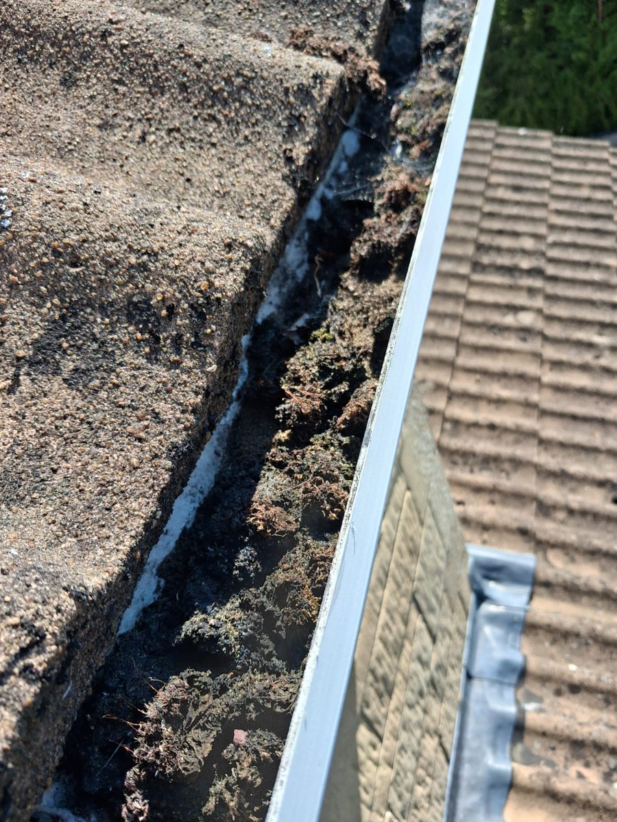 bathwindows's tweet photo. We cleaned gutters at Hantone Hill in Bath. Keeping your gutters great. 💪😊 https://t.co/OnILcpM0VZ