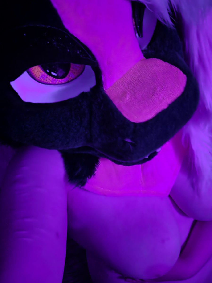 NextBight's tweet photo. Feeling a little shy today...

#murrsuit #furryNSFW #NSFW https://t.co/gOLvd7xEXK