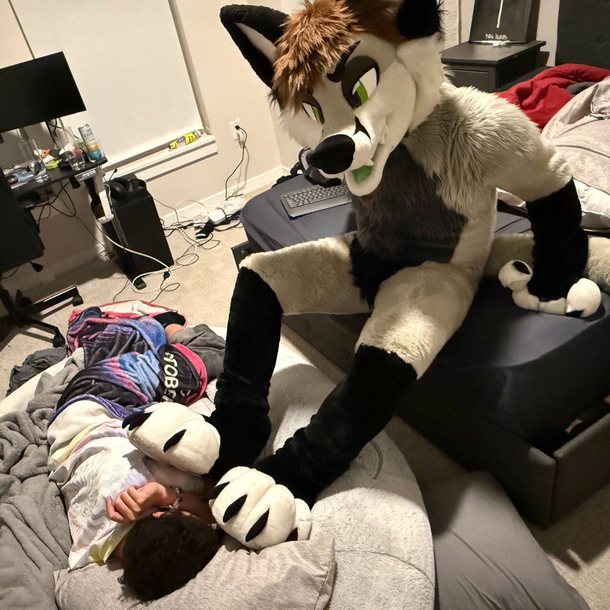 JAY FOXCAT 𓃦 tweet media