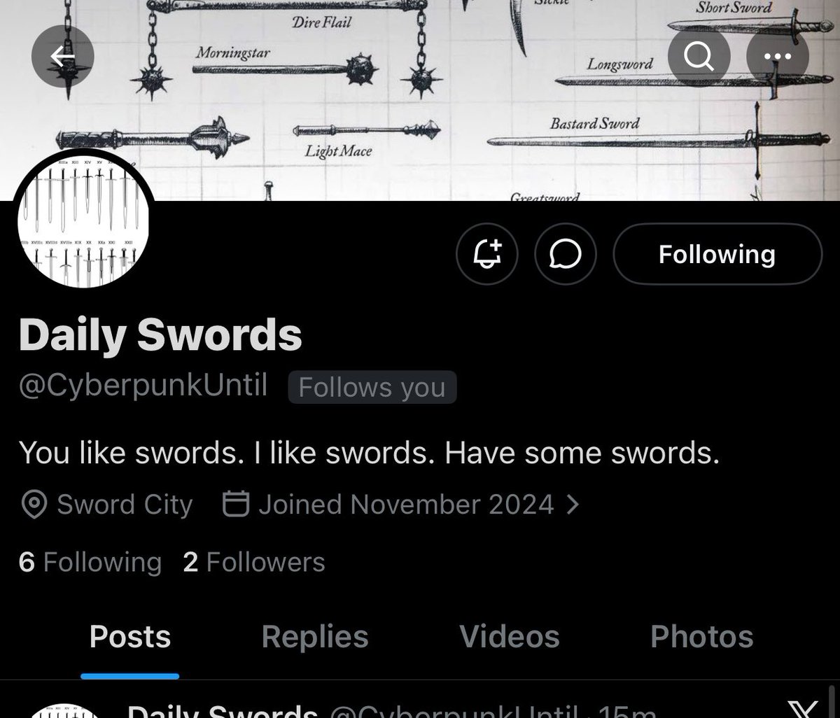 ⚔️Sword of The Day⚔️ tweet media