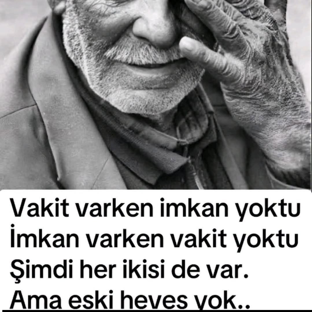 Yaşar baş tweet media