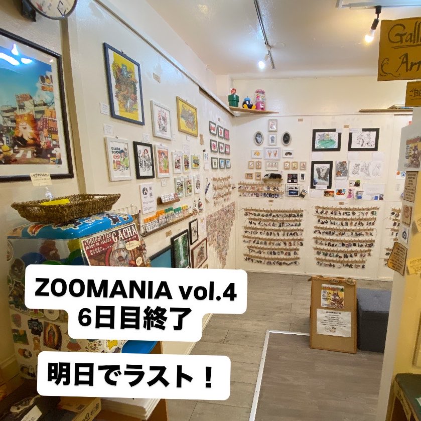 CURIOSITIES_OKI's tweet photo. ZOOMANIA vol.4
6日目終了✨
明日でラスト！
最終日も是非チェック！✨

#ZOOMANIA4
#展示会
#沖縄 https://t.co/5OeN45Gfqp