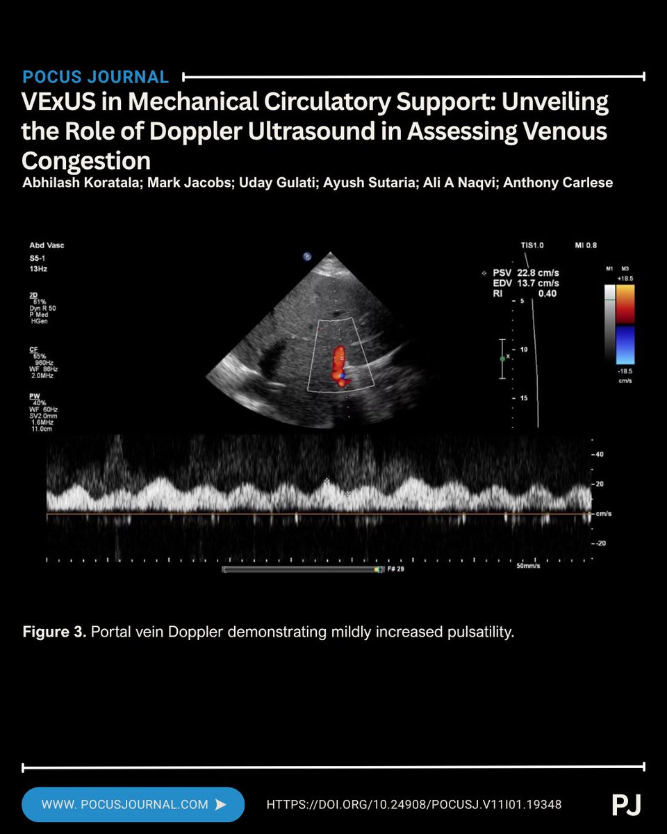 POCUS Journal tweet media