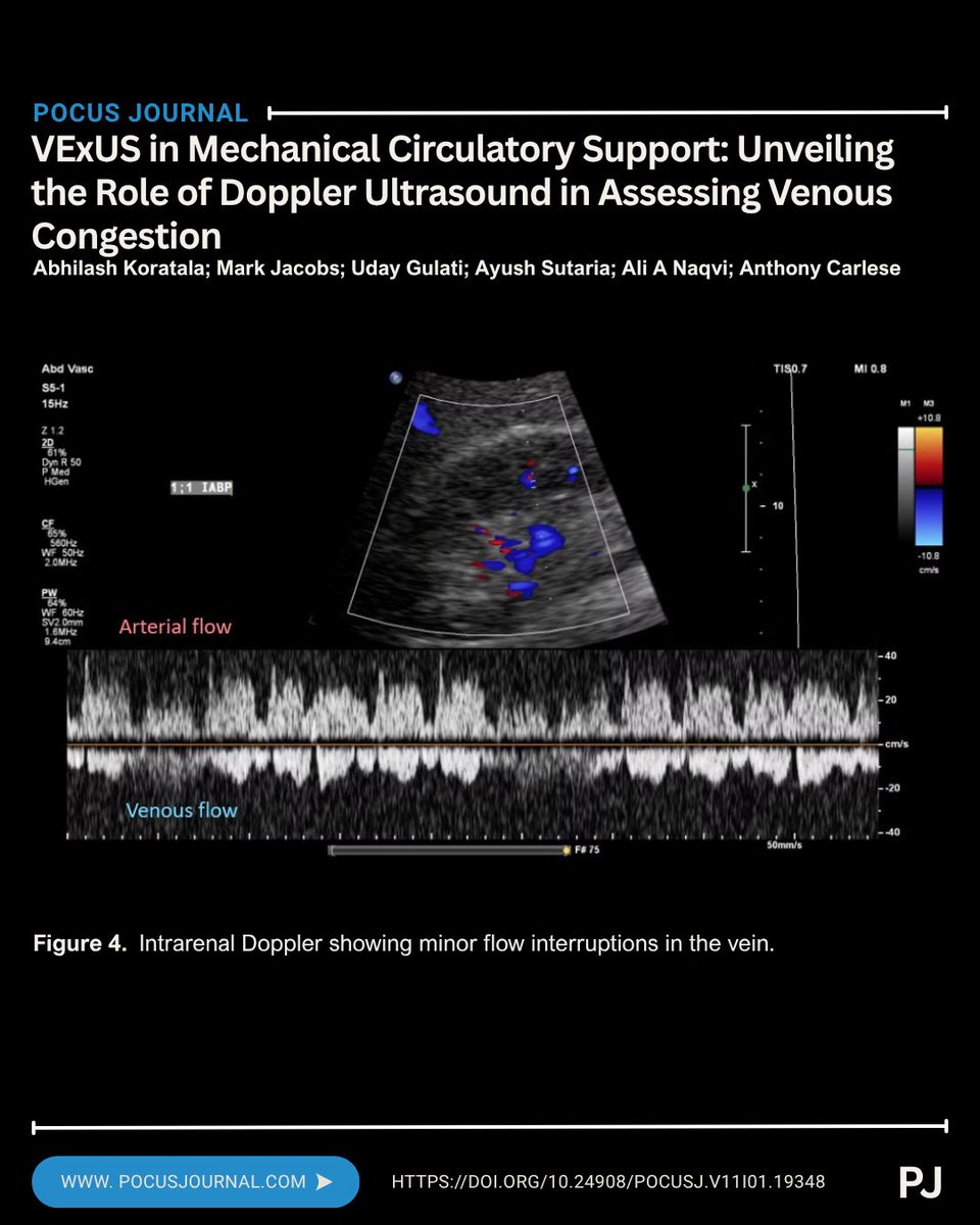 POCUS Journal tweet media