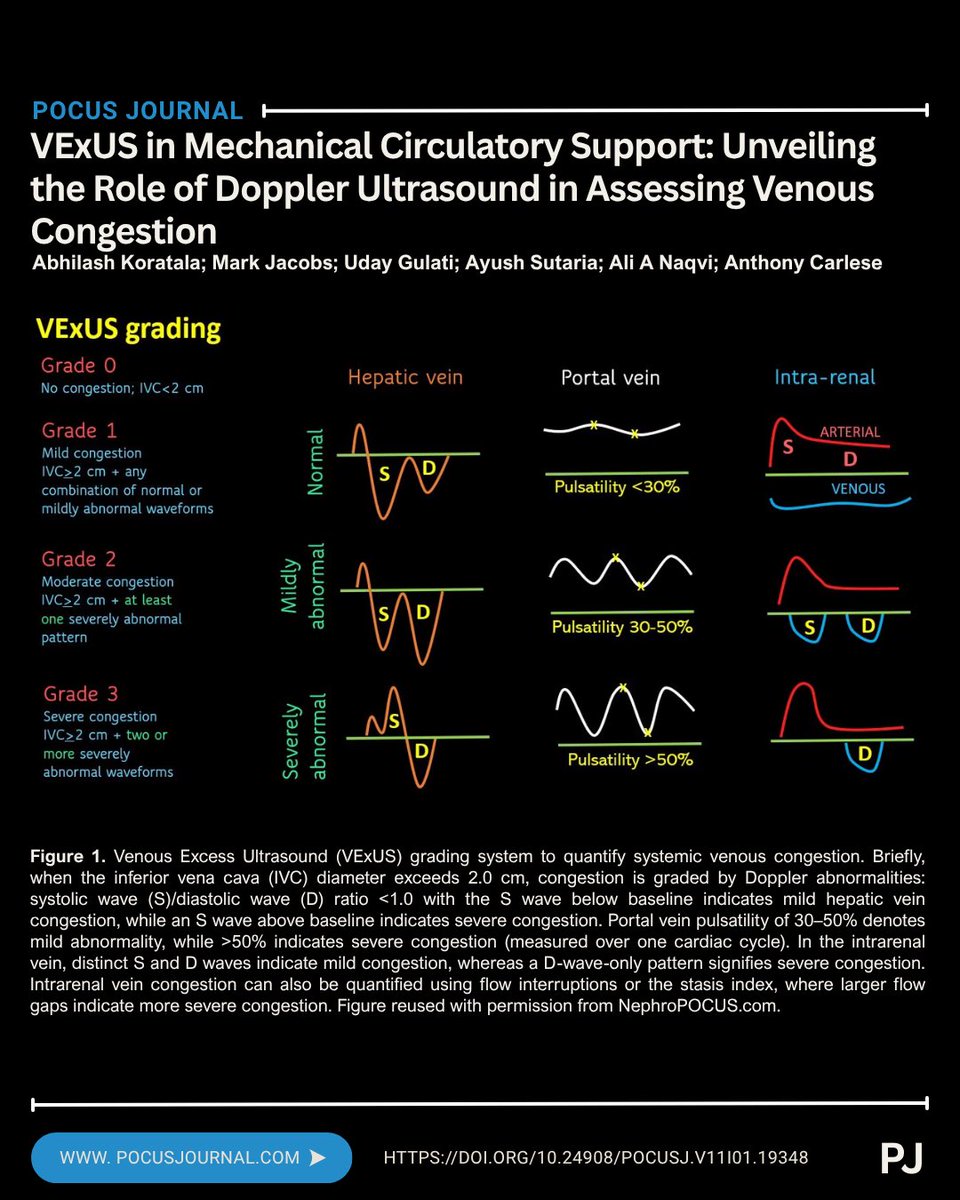 POCUS Journal tweet media