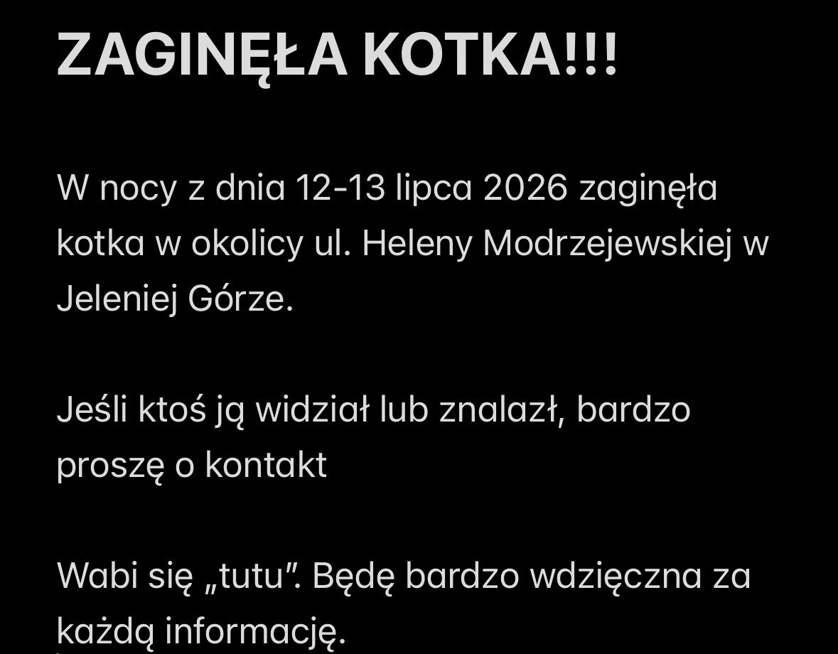chivnka's tweet photo. hejka!! byłabym wdzięczna za rt i gdyby ktoś z okolic jeleniej góry ją widział to o kontakt https://t.co/8AtVQQvux6