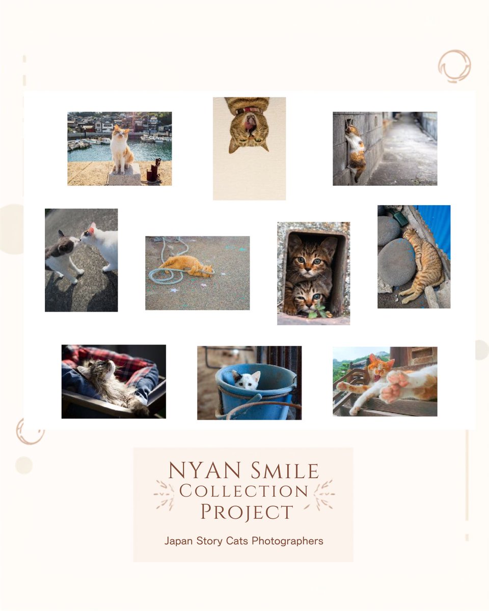 sato3ki's tweet photo. 開催まであと18日📅
「銀座 富士フォトギャラリーねこ写真展2026」
私たち JSCP（Japan Story Cats Photographers） 有志メンバーも、スペース3にて展示いたします。
定期的にオンラインミーティングを重ね、本日無事に最終打ち合わせを終えました。
今回はスペース3会場内に、
━━━━━━━━━━━━━━━━━━
Nyan Smile Collection Project（にゃんえすしーぴー）
by Japan Story Cats Photographers
━━━━━━━━━━━━━━━━━━
と題し、一点ものの販売用ミニパネル作品を集めたコーナーをご用意します。
「この子が気になる。」
「この表情が忘れられない。」
そんな出会いがありましたら、ぜひ里親になっていただけたら嬉しいです。
猫たちの笑顔が、皆さまの日常にも届きますように。
ぜひ本写真展とあわせてお楽しみください。
⇒銀座 富士フォトギャラリーねこ写真展2026
⇒ 2026年7月31日（金）～8月6日（木）
⇒ 富士フォトギャラリー銀座（スペース1・2・3・0）
北海道から九州まで45名の写真家による約100点の猫写真が銀座に集結。
都会や漁港で暮らす地域猫から、写真家たちの愛猫まで、それぞれの写真家だからこそ出会えた猫たちの物語を、ぜひ会場でご覧ください。