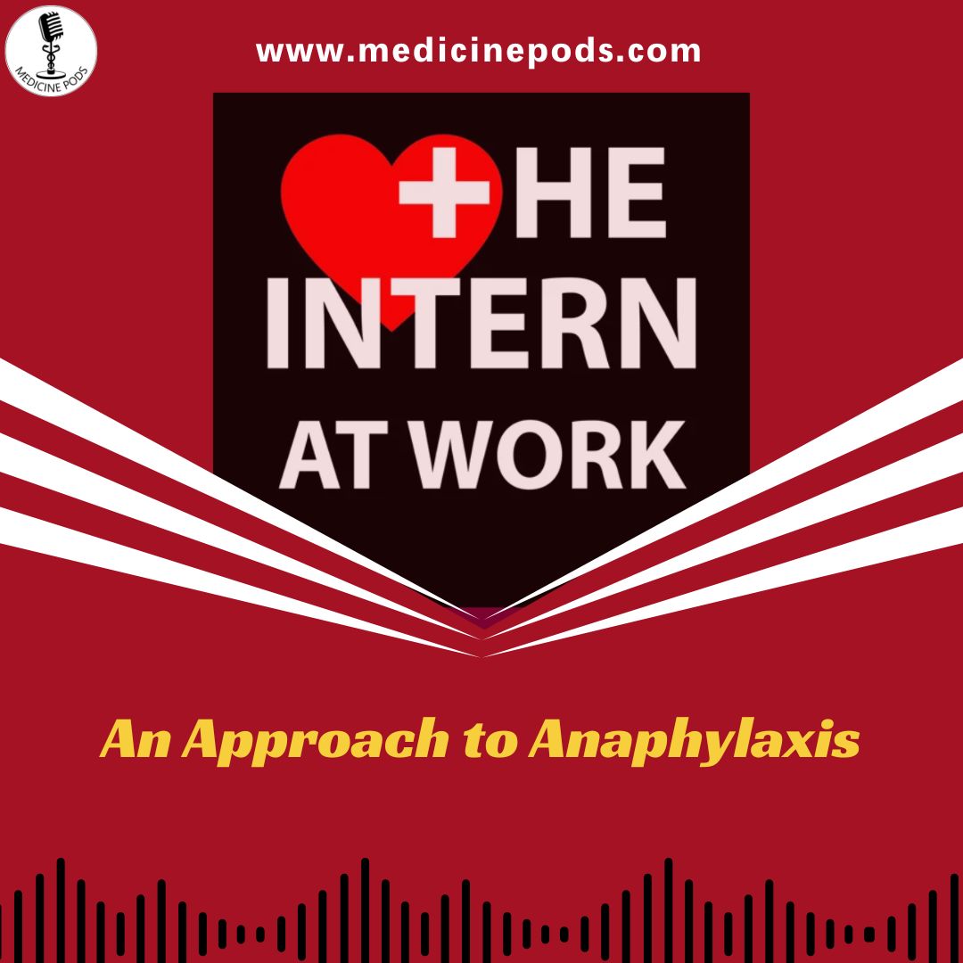 The Intern At Work tweet media