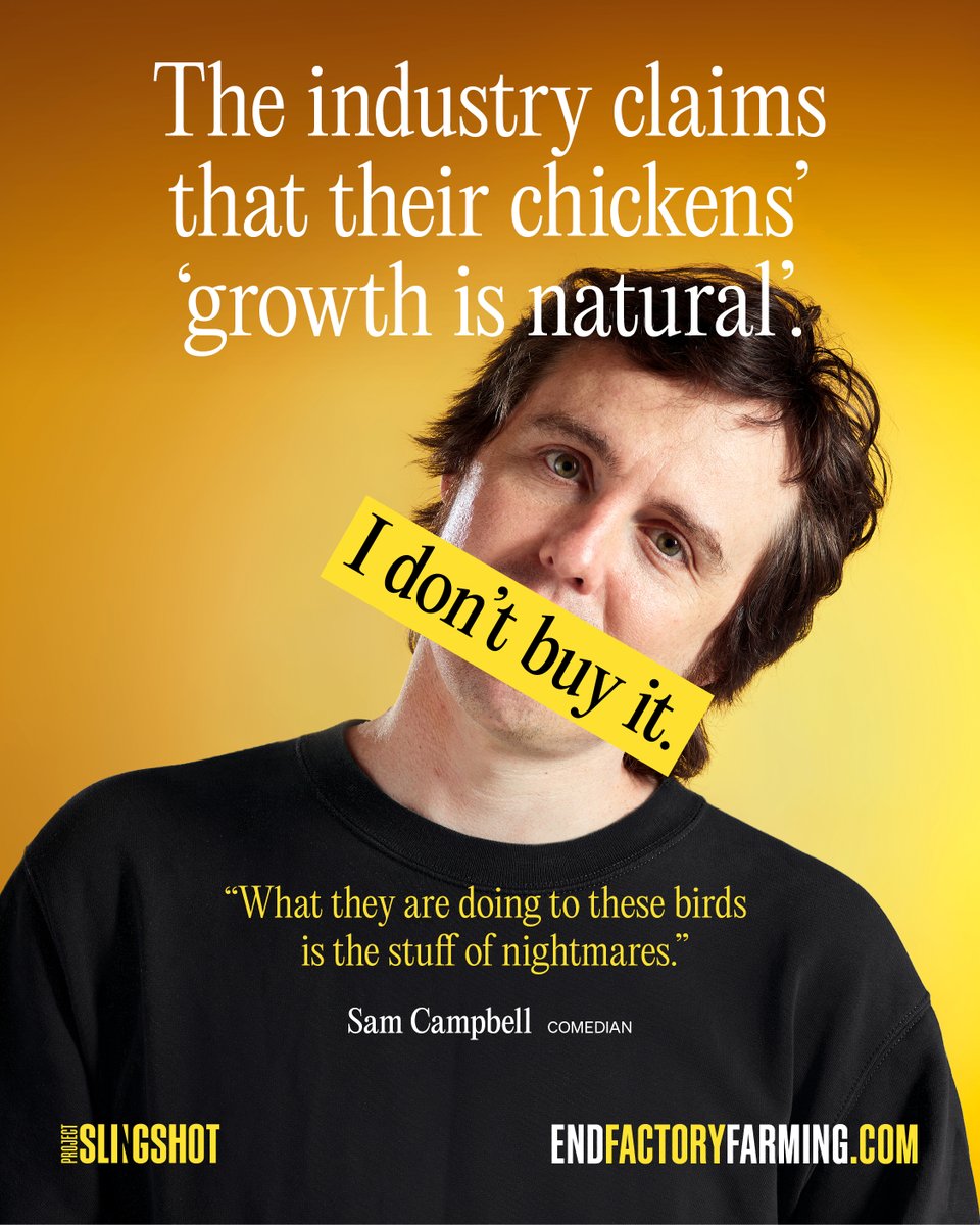 slingshot_uk_'s tweet photo. Most nightmares end when you wake up. For 90% of British chickens, waking up is the nightmare. Frankenchickens are bred to grow so fast their legs buckle and their hearts give out.
Learn more at https://t.co/ZBA1qS7q0C
#DontBuyIt #BanFrankenchickens #ProjectSlingshot https://t.co/vGJrV1D7WB