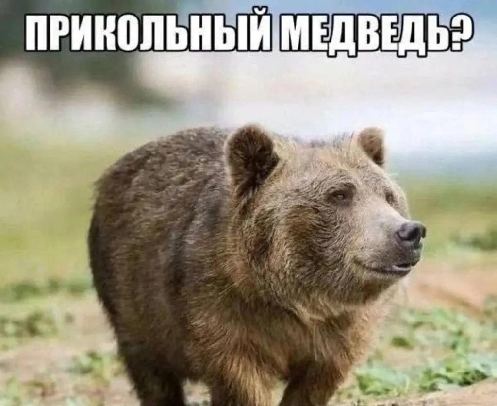 SanyokPro's tweet photo. @Tordon_Suharov https://t.co/PNDyU96hdz