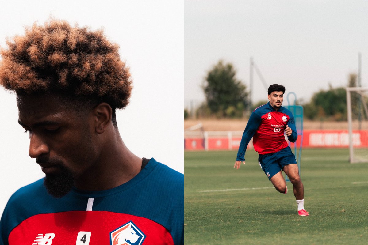 LOSC tweet media