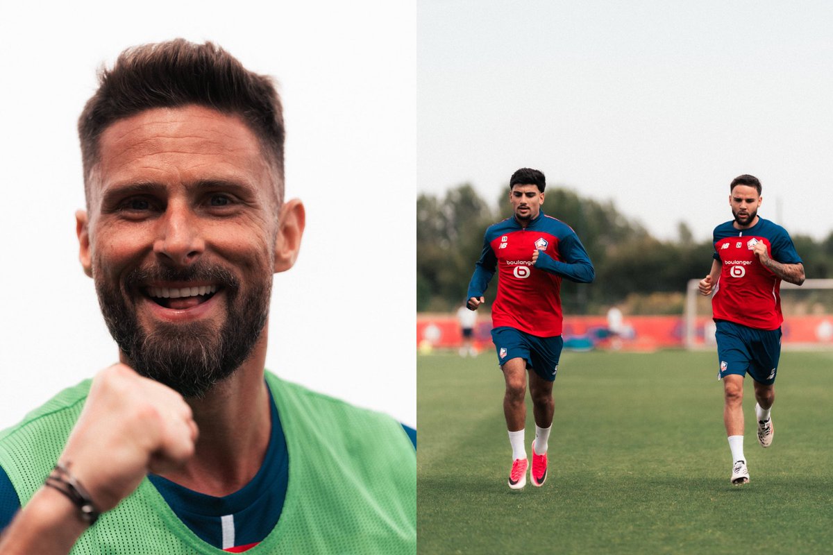 LOSC tweet media
