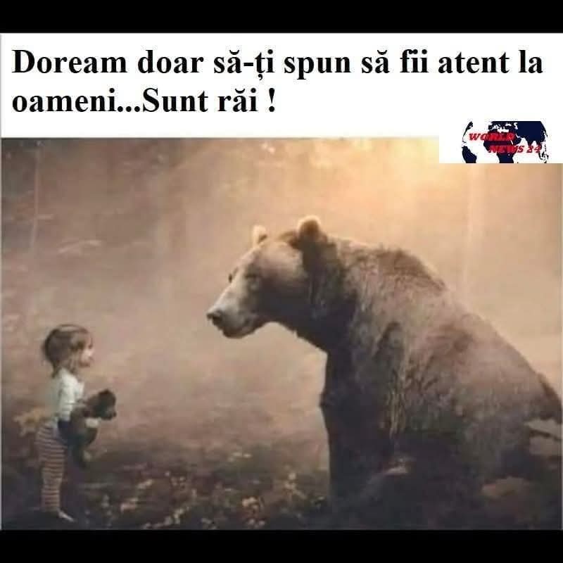 MirceaStefan7's tweet photo. https://t.co/zhgQYbIi8I