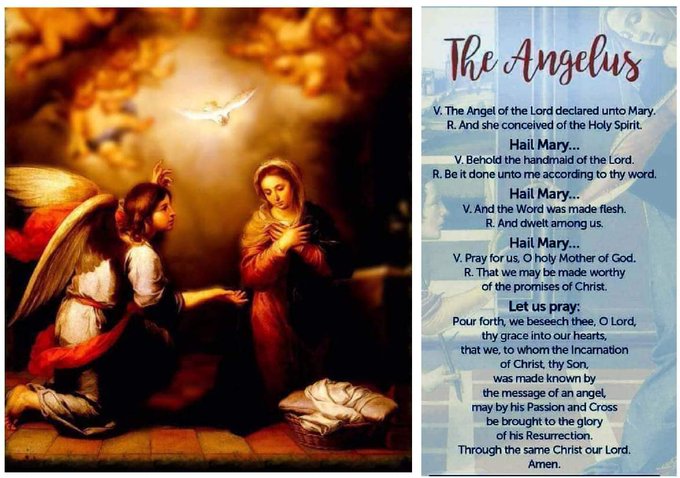 DeaconTom's tweet photo. Pray the Angelus
#CatholicTwitter #CatholicX #Pray #Faith https://t.co/X8NopcDmxa