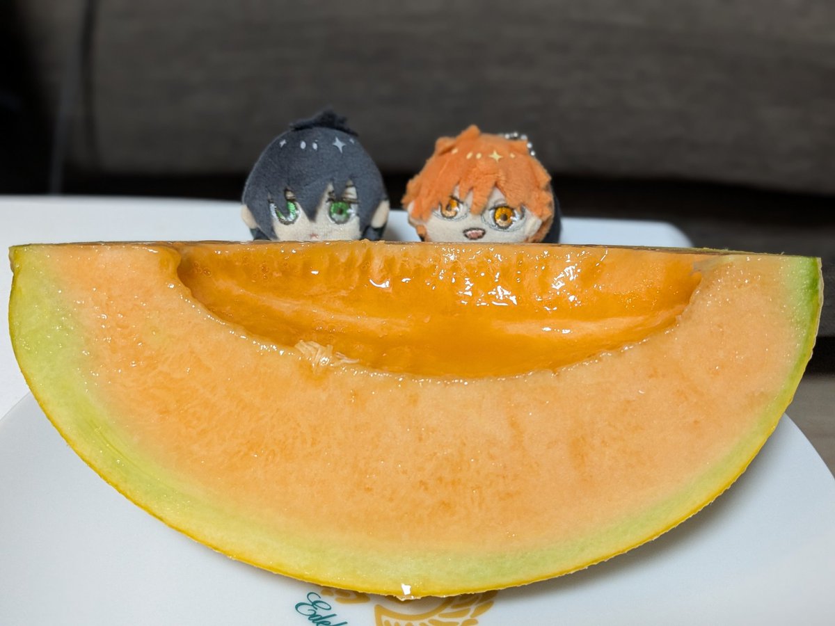 hanaco1116's tweet photo. 北国で暮らすタイカケのまめころに夕張メロンが到着🍈🍈
あとお皿エデロのやつだから見て😌 https://t.co/QS52B1DeBJ