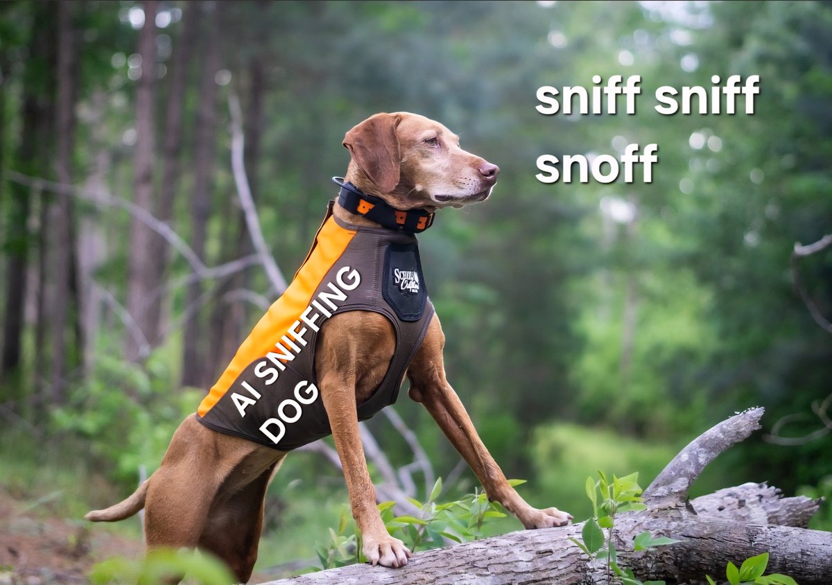real_rappydog tweet media