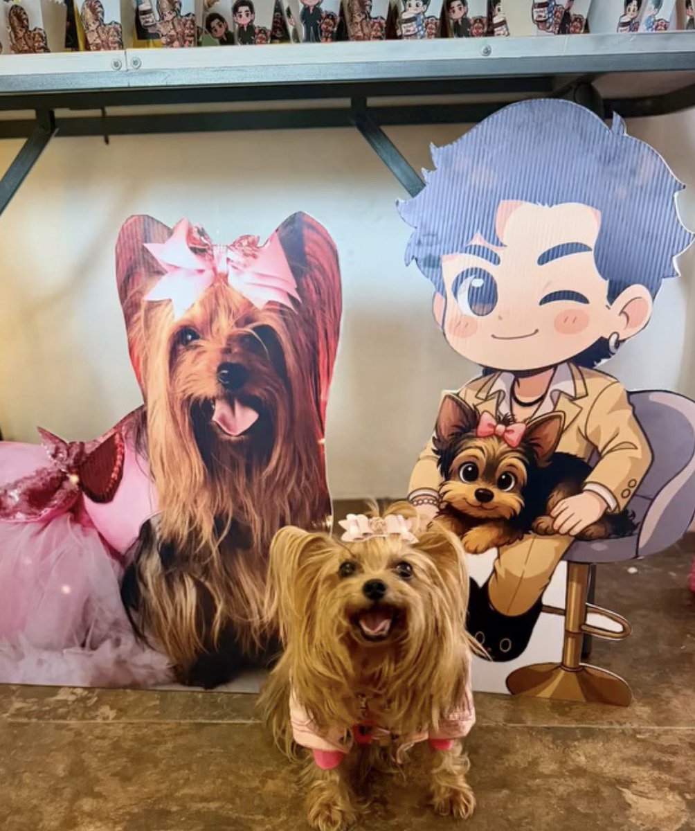paholaamtz's tweet photo. a esta preciosa que se llama Coraline🐶le festejaron su cumpleaños y fue con temática de aarón mercury 🥹💗 es lo más bonito que van a ver (y hasta el trend hizo con sus amiguitos) https://t.co/We715nSWQn