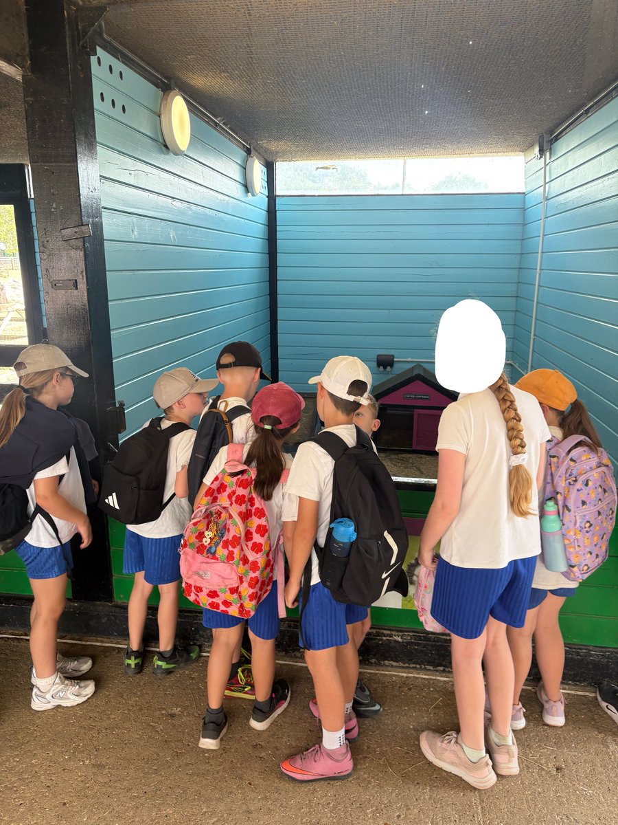 MissHylandStM's tweet photo. Having a fun day at the zoo��🐼🐻🦍🐘🐨🦁🦘🦛 @StMSchStewkley @MissVenters6 https://t.co/ZXfxhocyYg