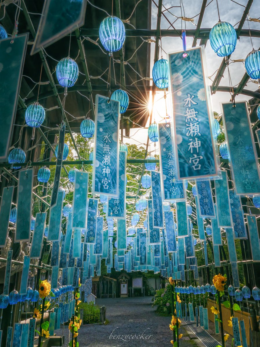 つきみ (@PXG9OF3i36sOMmp) / Posts / X
