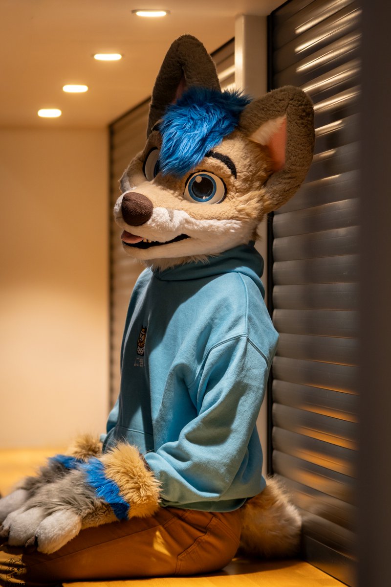 RapidtheHusky's tweet photo. It's almost a week to Awoostria, and I decided to put my photoshoot commisions here📸 In case somebody would be interested, here's the prices:

30min for 60€
45min for 80€

For more info you can just send me message on Telegram (@BlueRapid) or just here on X ^^ https://t.co/amXPpueep5