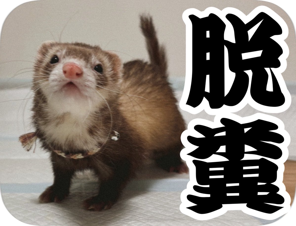 ちゃーちゃんのシールまた作ってる〜！ 切り抜きしたり色々大変だけど