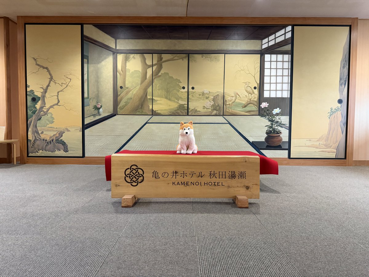 New_Ruukn's tweet photo. 秋田旅行
ひいばぁちゃんめっちゃ元気してて良かった https://t.co/5IDixSdtzZ