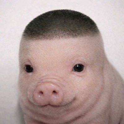0xKemmmy's tweet photo. #NewProfilePiG https://t.co/CHdsdMR5Bj