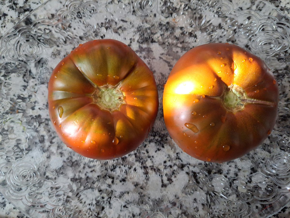 borte85's tweet photo. Kahverengi domates🍅🍅🤎 https://t.co/MOkFA58Vxs