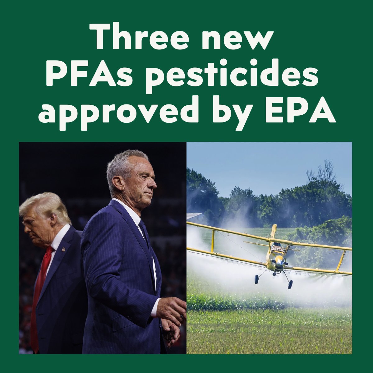 grantonsoil's tweet photo. Trump has officially approved the fifth PFAS pesticide for use on food crops during his second term.

Which makes me wonder, are we making America healthy again yet?

It's more likely that we are witnessing complete government corruption in real time…

Last week the EPA approved three new PFAS pesticides in a single day for use on corn, soybeans, wheat, oats, oranges, apples, and almonds.

PFAS are called forever chemicals because they never break down in your body or the environment, linked to cancer, thyroid tumors, reproductive toxicity, and birth defects.

This came days after the Supreme Court ruled 7-2 that you can no longer sue pesticide companies for cancer.

First they took away your right to sue, then they approved five more forever chemicals for your food.

And none of this is surprising when you look at who is making these decisions.

A decade ago a Monsanto Vice President became Deputy Commissioner of Foods at the FDA, spending years overseeing the very agency responsible for regulating the company he had just worked for, and nobody stopped it.

These patterns never left.

Today the EPA's deputy administrator overseeing pesticide approvals is Kyle Kunkler, a former lobbyist for the American Soybean Association, one of the groups publicly pushing for the exact chemicals he just approved.

One thing is clear: Our government is not working for the health of Americans. 

Regaining control of our health starts in our communities by supporting local farmers removing themselves from chemical companies and government subsidies.