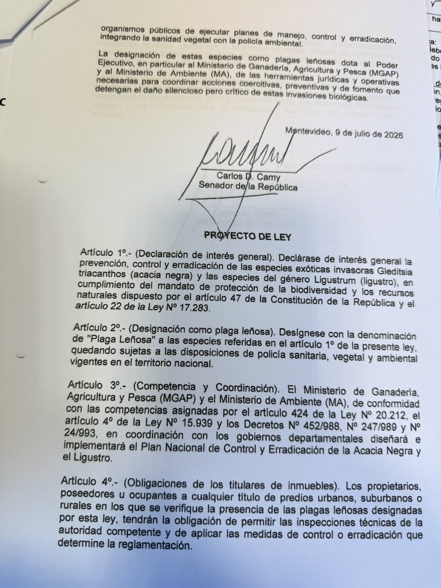 Carlos Daniel Camy tweet media