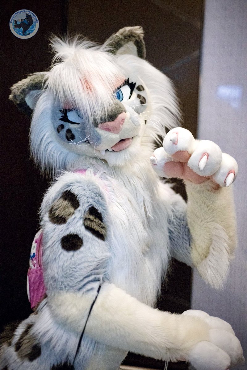 ❄️ Chion Kitty 🌸 tweet media