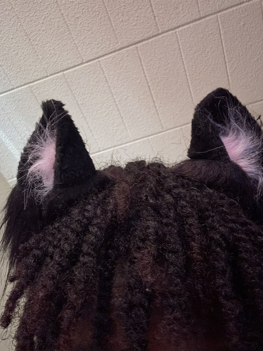Mommakitty2408's tweet photo. My fox ears 🖤🖤 https://t.co/kfm7AygIR6