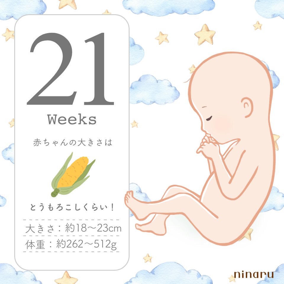 ansnmt's tweet photo. 今日から21週！
モロコシ太郎くんになりました🤣
ちょろげが生えてる笑 https://t.co/yHXO4bWmhC