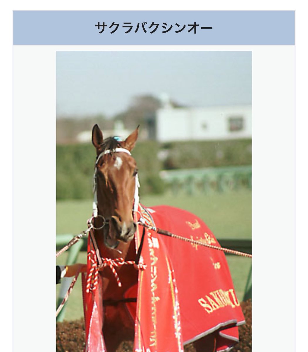 nokogara's tweet photo. 【サクラバクシンオーはどうしておでこを出しているのか？】
→旧約聖書の一文に、
「すべての憎むべきことに対して嘆き悲しんでいる人々の額にしるしをつけよ。」
というものがあるのですが、バクシンはしるしのないおでこを出すことで、

「我は憎しみを持たず、嘆き悲しむこともしない」

ということを証明していると言われています。

あと余談ですが、おでこ出してても出してなくても私はバクが大好きです。
バクが自分のおでこ自慢に思ってるなら、私もバクのおでこ大好きですし。

あとWikiに載ってるバクの写真、「ちょわ！」って叫んでるみたいなんですよね、髪型もなんとなく似てる気がする。