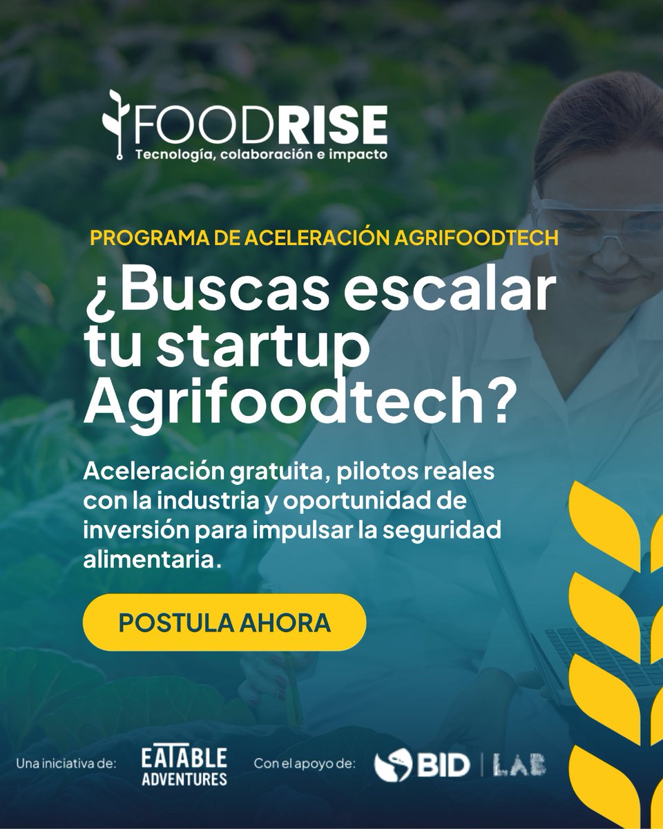 IDB_Lab's tweet photo. ¿Tienes una #Startup #Agrifoodtech con una solución innovadora para fortalecer la seguridad alimentaria?
FoodRise abrió una nueva convocatoria para #Emprendimientos de #Argentina, #Chile, #Paraguay y #Uruguay que buscan transformar el sistema #Agroalimentario de la región.
Conoce más y postula aquí: https://t.co/eAaQwy4SEa