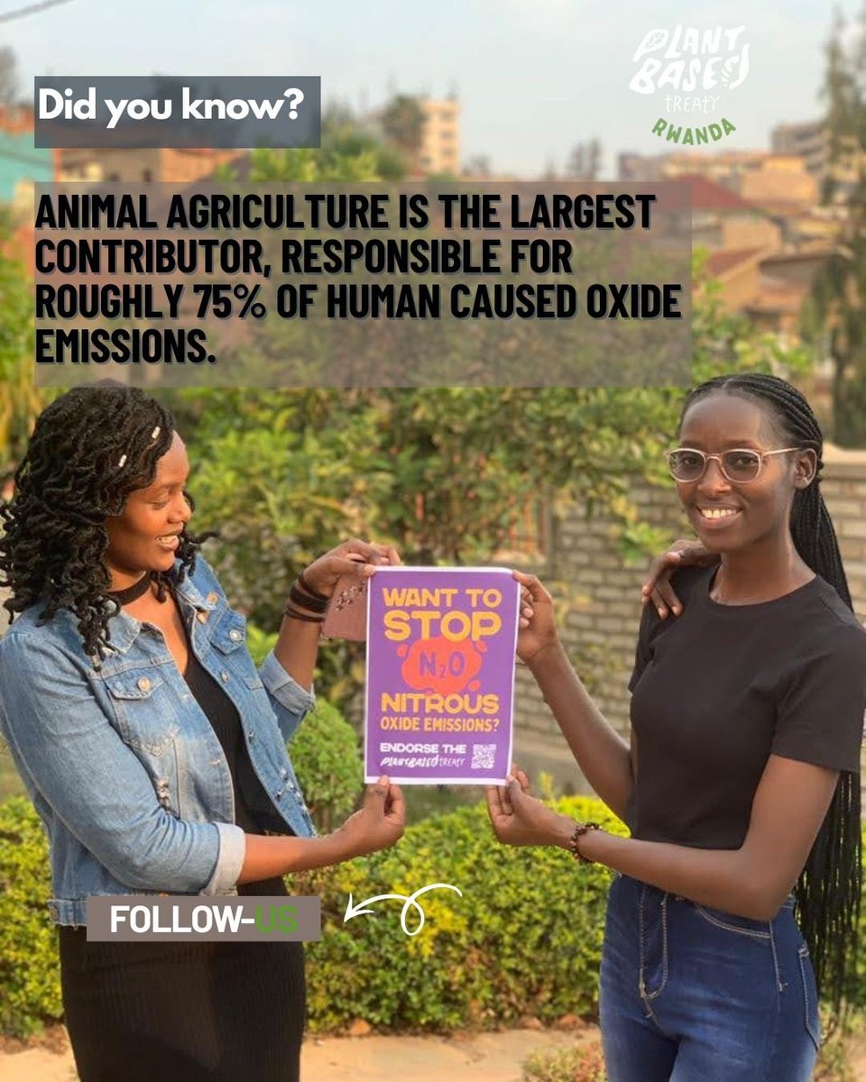PBTrwanda's tweet photo. Animal agriculture is one of the biggest drivers of global emissions. The solution is right on our plates. 

Choosing plant-based meals is the most powerful daily action we can take to heal our planet. 🌍🌱 #PlantBased  #ClimateAction https://t.co/pmqGsUuXmo