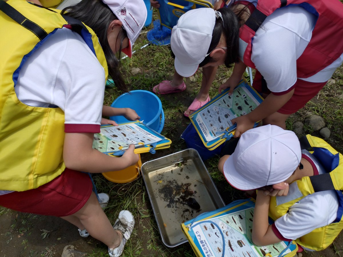 mlit_takada's tweet photo. 🔍🦀稲田小学校4年生の皆さんと #関川 を調査🦞

調査では簡単な水質試験や川の流速測定なども行い、水生生物採取では、「こんな生きものがいるんだ！」と皆さん興味津々で取り組んでいました🪣😊
これからも関川への関心を深めてほしいなと思います✨
#高田河国 #水生生物調査 #河川愛護月間 https://t.co/dZ0PCtutx0