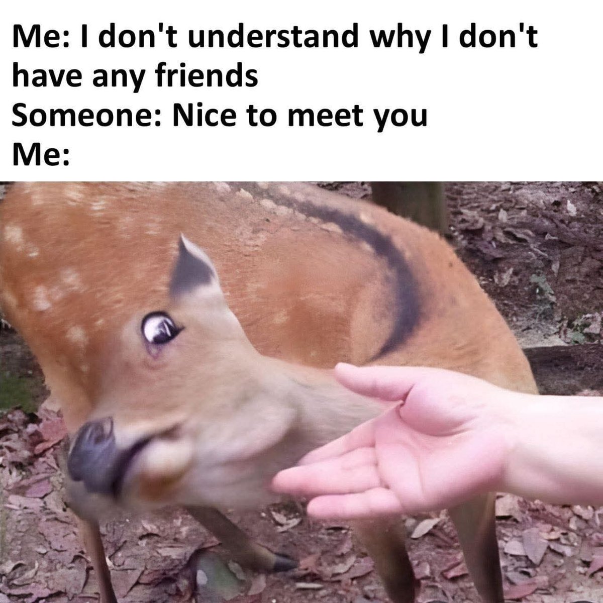 WholesomeMeme's tweet photo. https://t.co/JukOXn2qSo