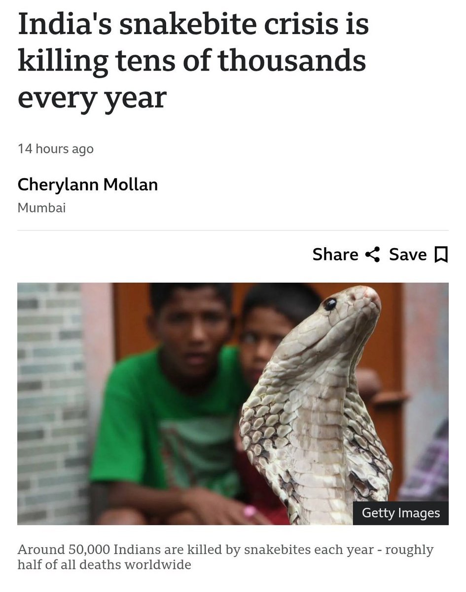 The Mewmarossa tweet media