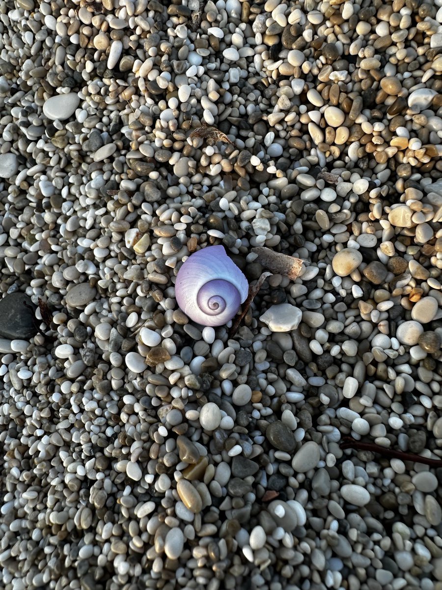 chiarab70's tweet photo. Stamattina, più che a correre, ad affondare sulla spiaggia.
Silenzio intorno, controluce e, se impari a fermarti, trovi anche cose stupende.
#RunBabyRun🏃🏽♀️ #DiarioDiUnaSchiappa🥳#AndamentoLento🦥 #iocorroqui #MorningRunAlwaysFun🎉 https://t.co/fFx7cUsFnt