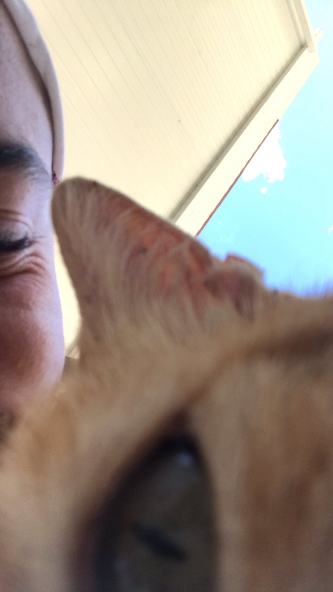 kxahiz's tweet photo. Mi colega https://t.co/82FgdO9vdv
