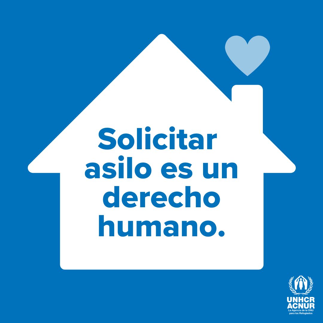 AcnurMexico's tweet photo. Buscar asilo y encontrar protección es un derecho humano fundamental que nos corresponde defender a todas las personas, en todo momento y en todo lugar.  #ConLasPersonasRefugiadas https://t.co/dff54ihUgS
