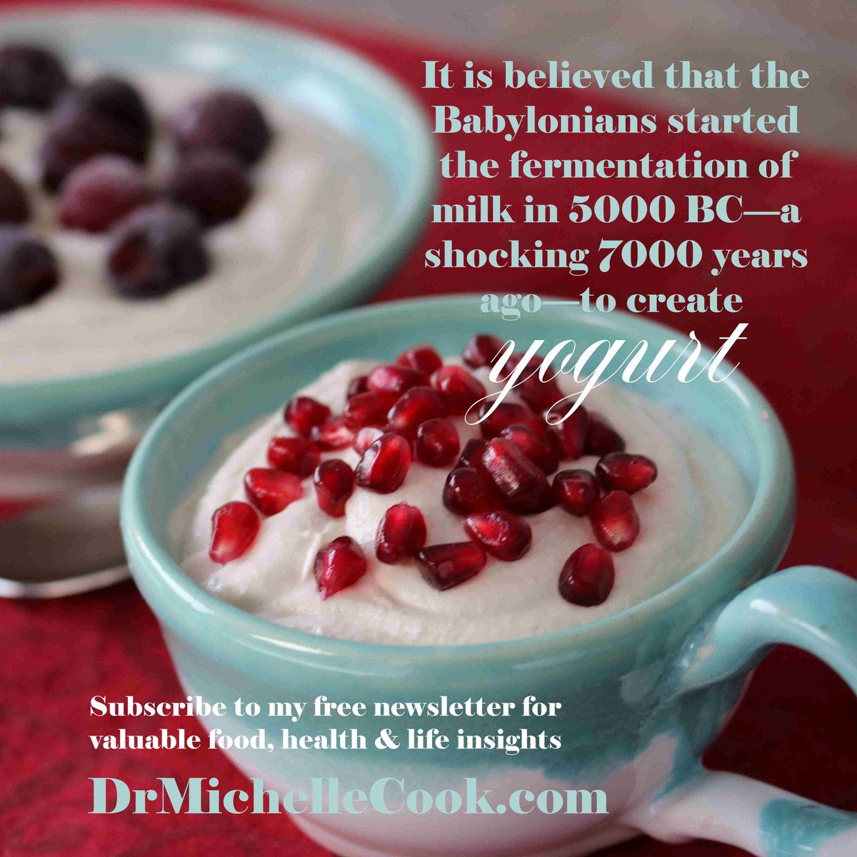 mschoffrocook's tweet photo. Many people around the world enjoy yogurt on a daily basis, either dairy or the more recent plant-based options, but few have ever considered the fermented food's origins. Learn more at https://t.co/Xzw6M0T53z. https://t.co/wEHwG01kK8