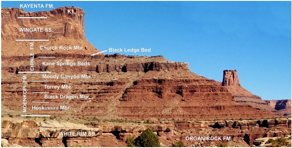Paleojim's tweet photo. Don DeBlieux has been overseeing a paleontological inventory @CanyonlandsNPSover the past 5 years. The Early Triassic Moenkopi story has turned out to be the most exciting, hopefully some of the more accessible sites will be interpreted.  @MoabSunNews @MuseumOfMoab @MoabTimes https://t.co/6Dv79yjvm0