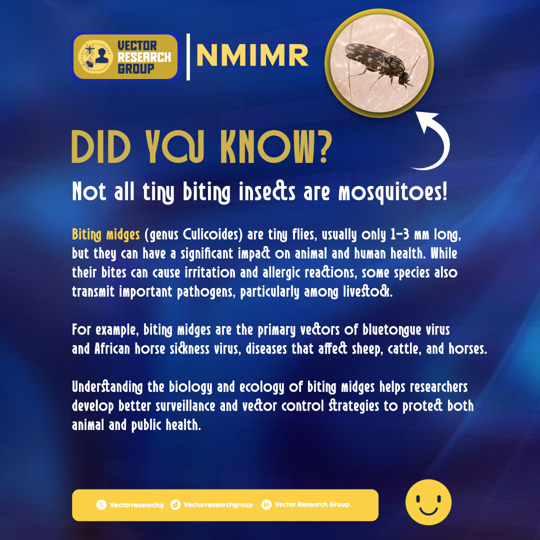 vectorresearchg's tweet photo. Biting midges may be small enough to go unnoticed, but their impact on animal and public health can be significant. Understanding these overlooked vectors is essential for improving surveillance, strengthening vector control, and protecting both humans and livestock.
#Vectors https://t.co/EBcj43jUBm