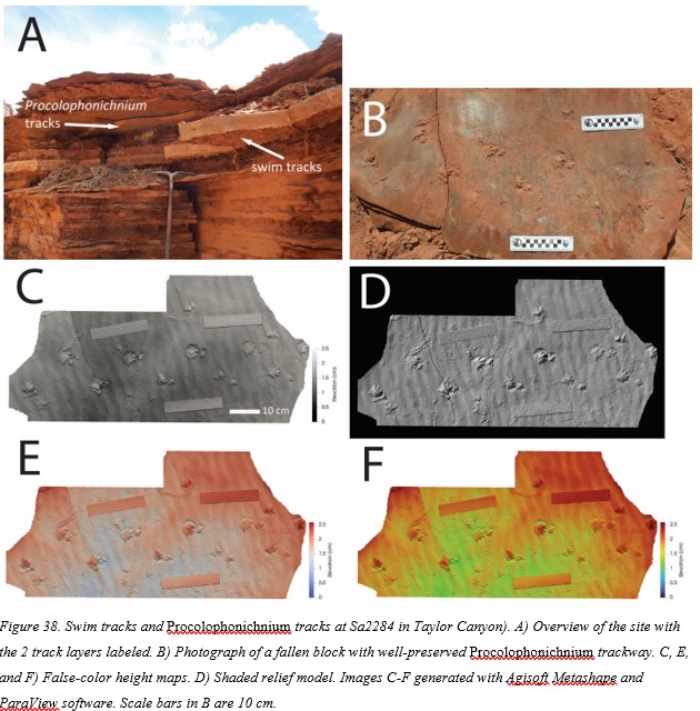 Paleojim's tweet photo. Don DeBlieux has been overseeing a paleontological inventory @CanyonlandsNPSover the past 5 years. The Early Triassic Moenkopi story has turned out to be the most exciting, hopefully some of the more accessible sites will be interpreted.  @MoabSunNews @MuseumOfMoab @MoabTimes https://t.co/6Dv79yjvm0