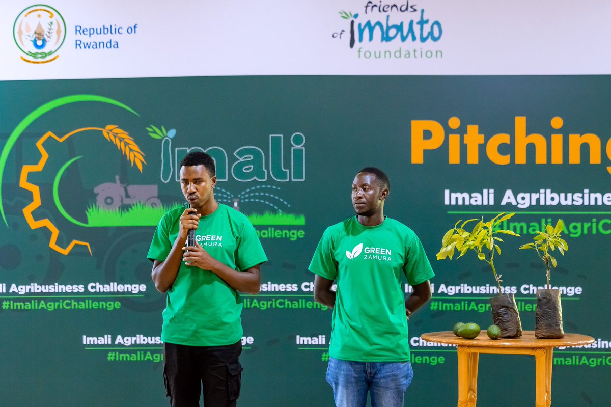 Imbuto's tweet photo. Our next presenter, Kanyamanza Jean de Dieu and team, showcased GREEN ZAMURA Ltd., a project strengthening the avocado value chain in Kamonyi District by helping farmers improve productivity and fruit quality.

#ImaliAgriChallenge https://t.co/xwYB1L5xZY