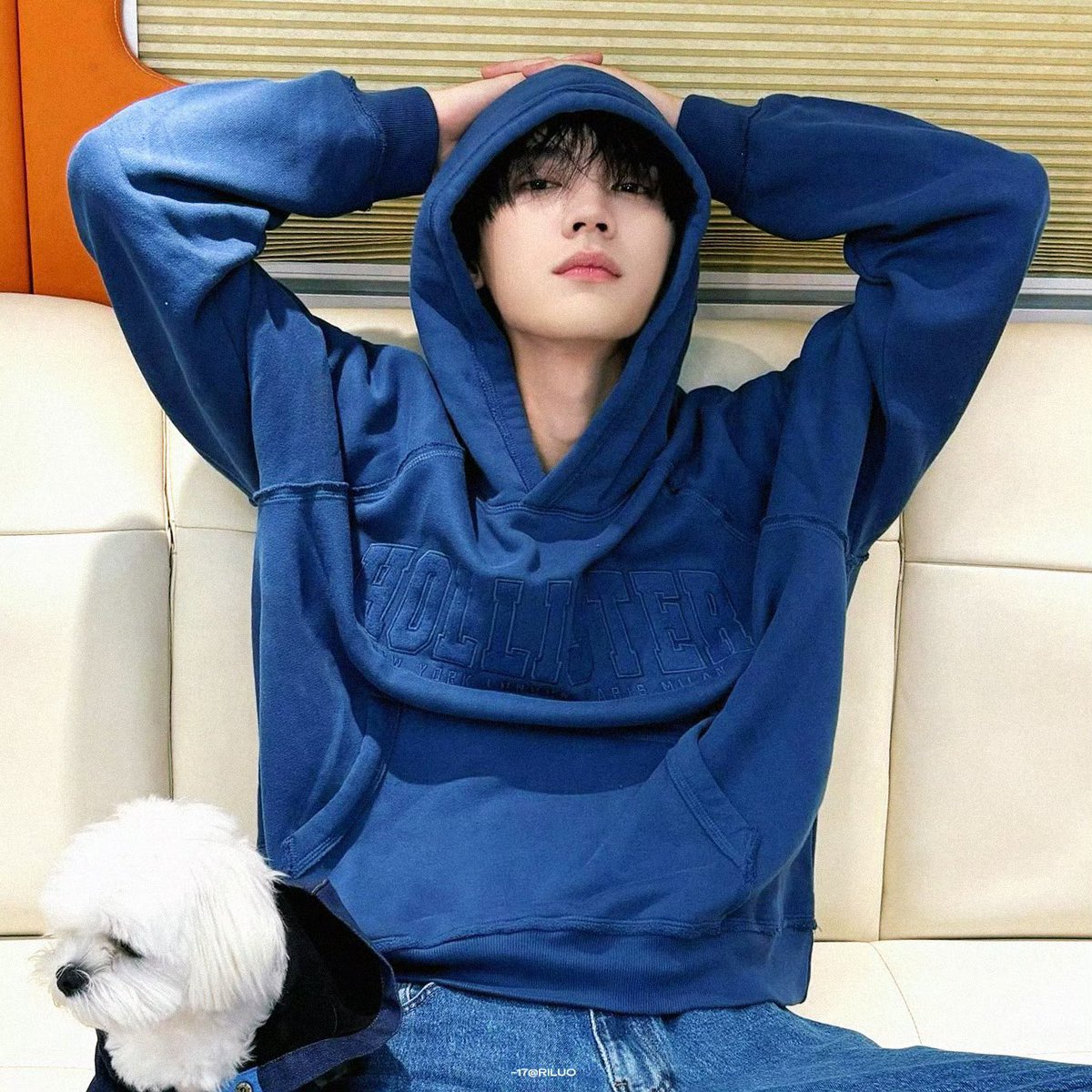 hizhouy's tweet photo. 웨이보에 누가 파랑주익연 싹 모아서 올려줘가지고 덕분에 개안함 https://t.co/cWvy6BXEqH