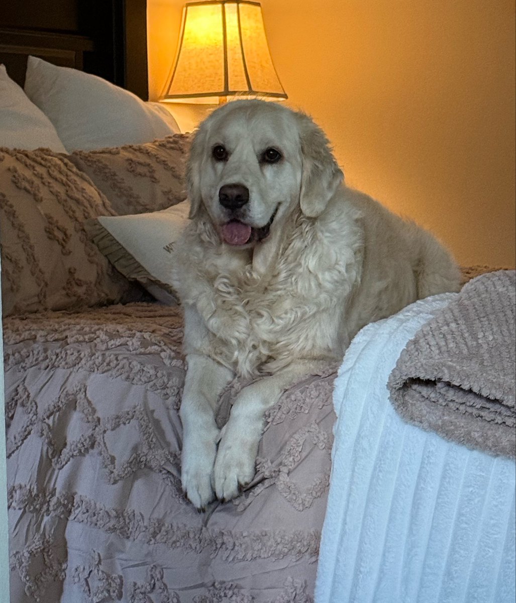MaggieMaeGolden tweet picture