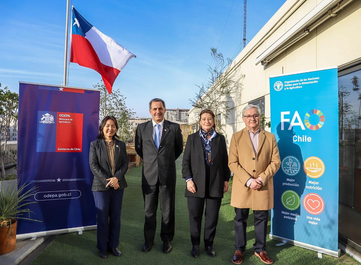 MinagriCL's tweet photo. 🌱 Esta mañana, el subsecretario de Agricultura, Francesco Venezian, junto a la representante ad interim de @FAOChile, Maya Takagi y los directores de servicios del @MinagriCL, encabezó el Taller de Inicio del Proyecto GEF “Escalamiento de prácticas regenerativas para la recuperación y mejoramiento de los suelos, la biodiversidad y los servicios ecosistémicos asociados en el sector agropecuario chileno”, una iniciativa impulsada junto a @FAO.

👉 La instancia marcó el lanzamiento de este proyecto, que fortalecerá la recuperación de los suelos, la biodiversidad y los servicios ecosistémicos, promoviendo una agricultura más resiliente, competitiva y sostenible, mediante el trabajo colaborativo entre instituciones públicas, academia, sector privado y organizaciones de la sociedad civil.